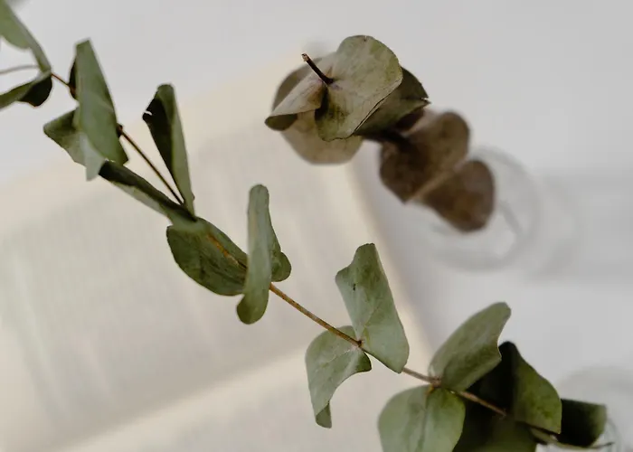 Anamnesia Collection Aronia Kastraki Villa